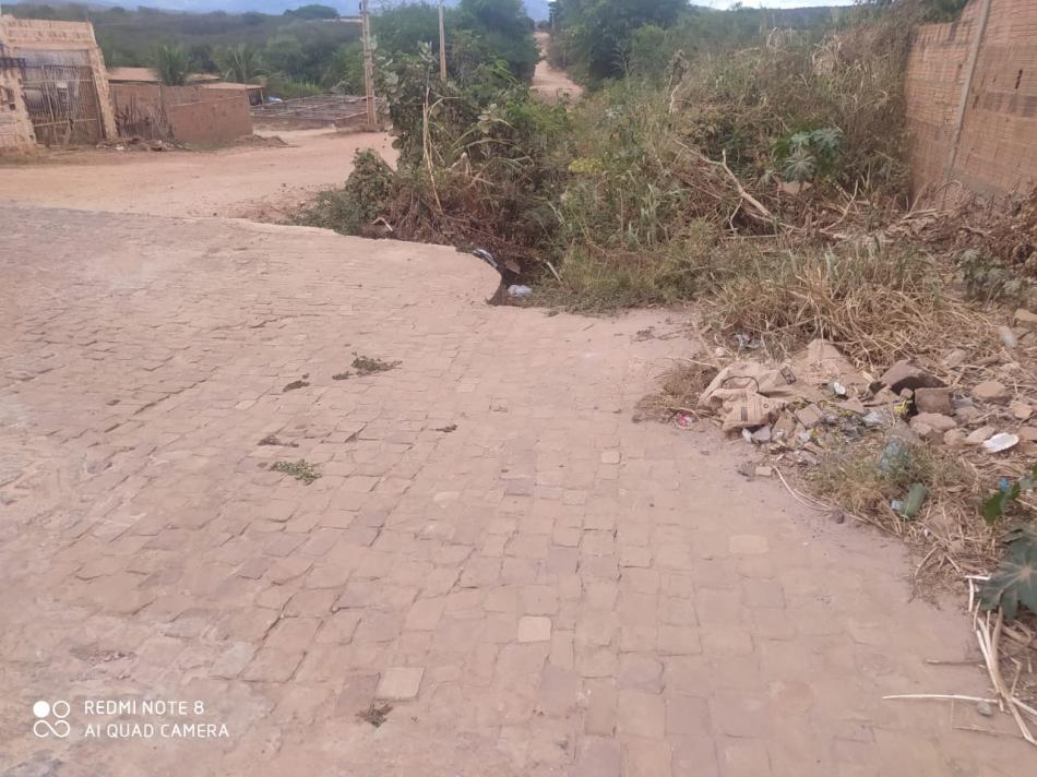 Ipupiara: Prefeitura ainda não concluiu capina em ruas da sede do município